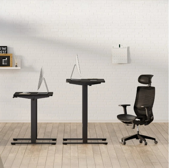 Electric Standing Desk Dual Motor Adjustable Height Desk Home Office Computer Workstation Sit Stand Up Desk, 55 X 28 Inches
