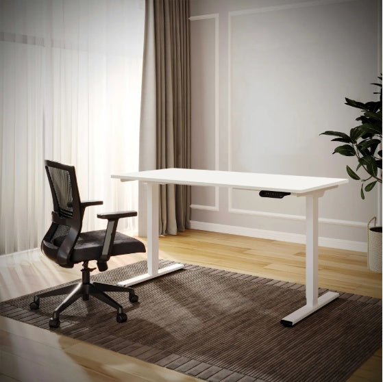Electric Standing Desk Dual Motor Adjustable Height Desk Home Office Computer Workstation Sit Stand Up Desk, 55 X 28 Inches