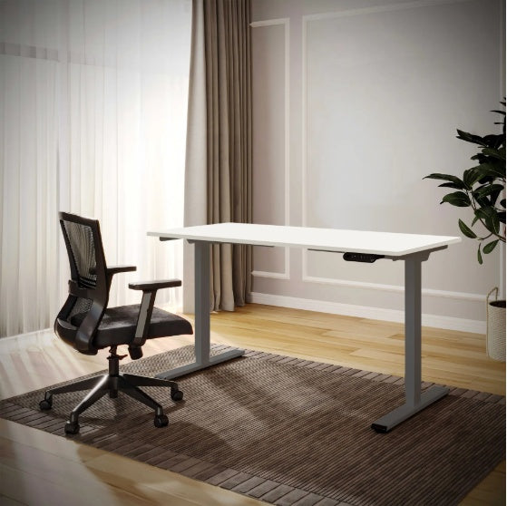 Electric Standing Desk Dual Motor Adjustable Height Desk Home Office Computer Workstation Sit Stand Up Desk, 55 X 28 Inches
