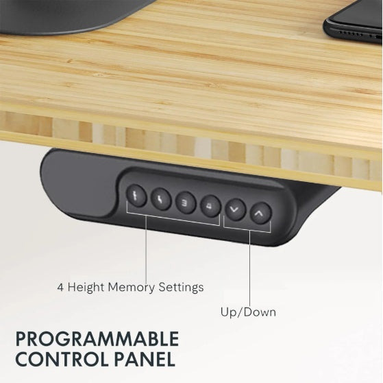Electric Standing Desk Dual Motor Adjustable Height Desk Home Office Computer Workstation Sit Stand Up Desk, 55 X 28 Inches