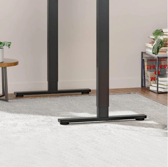 Electric Standing Desk Dual Motor Adjustable Height Desk Home Office Computer Workstation Sit Stand Up Desk, 55 X 28 Inches