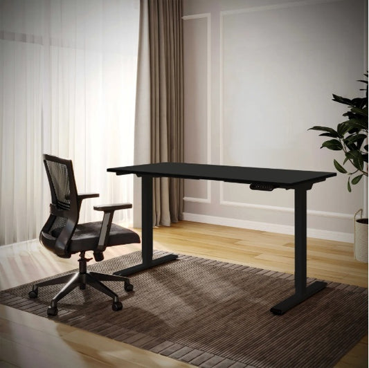 Electric Standing Desk Dual Motor Adjustable Height Desk Home Office Computer Workstation Sit Stand Up Desk, 55 X 28 Inches