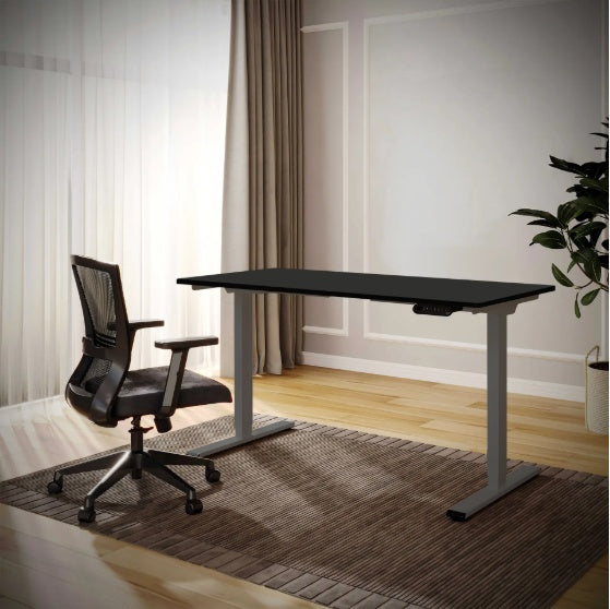 Electric Standing Desk Dual Motor Adjustable Height Desk Home Office Computer Workstation Sit Stand Up Desk, 55 X 28 Inches